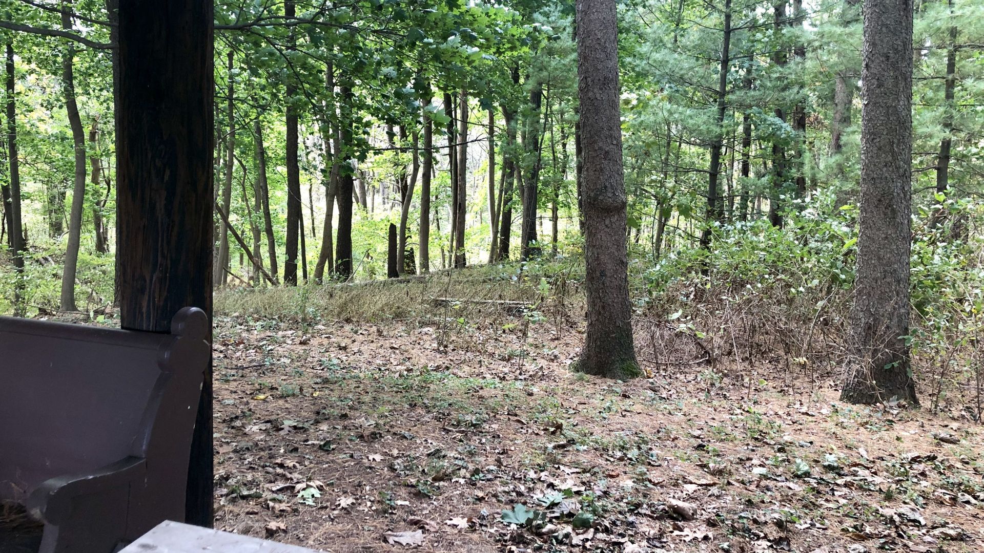 10-9-19 Rentschler Arboretum 3.jpg